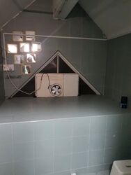 West Park Regency (D5), Apartment #577456121